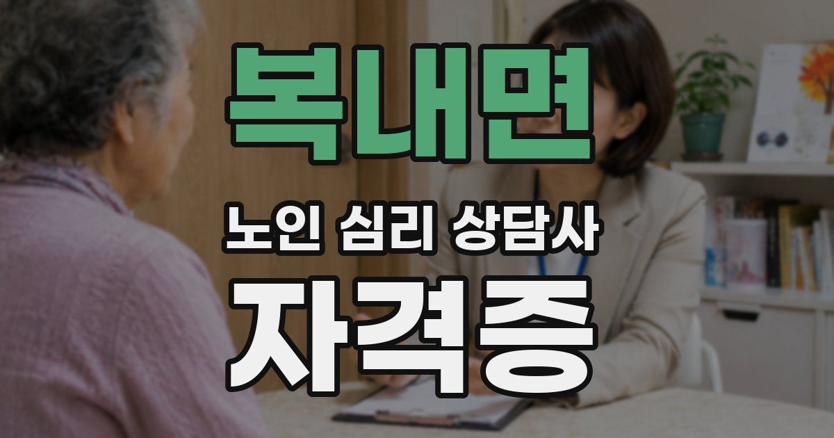 복내면 노인 심리 상담사 자격증
