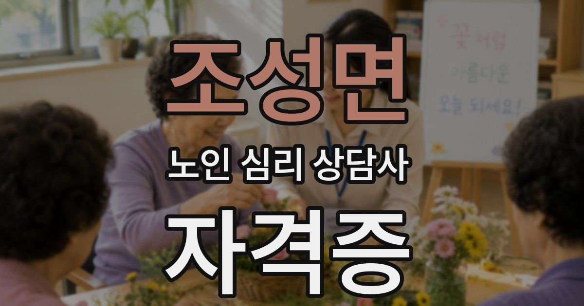 조성면 노인 심리 상담사 자격증