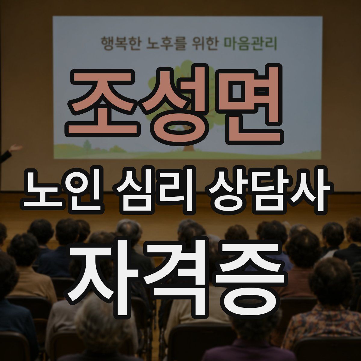 조성면 노인 심리 상담사 자격증