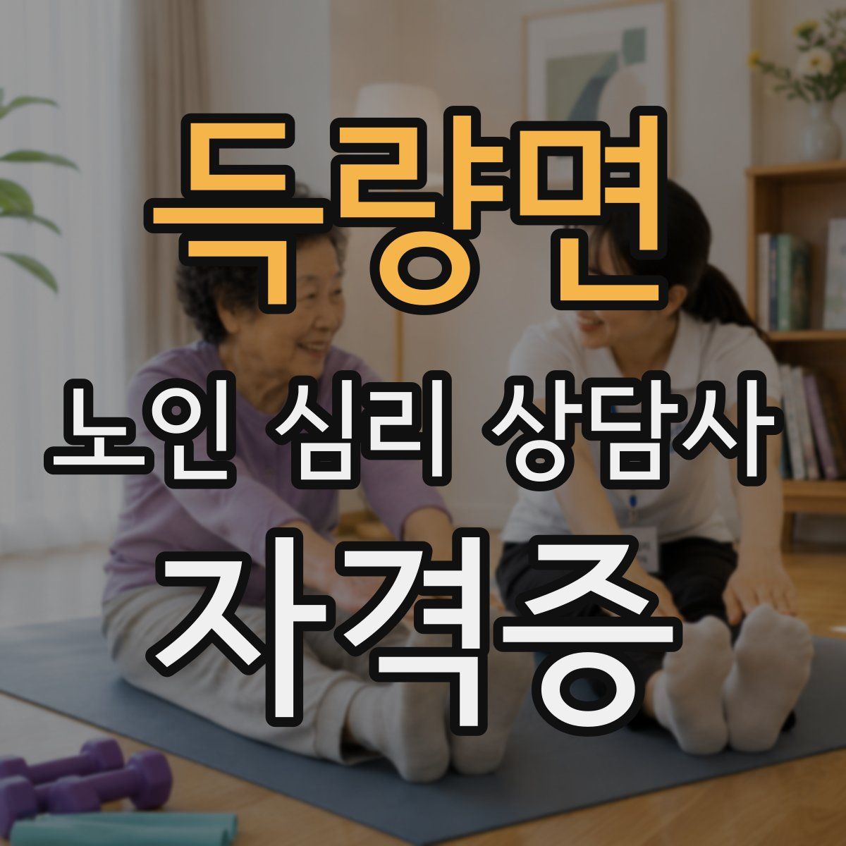 득량면 노인 심리 상담사 자격증