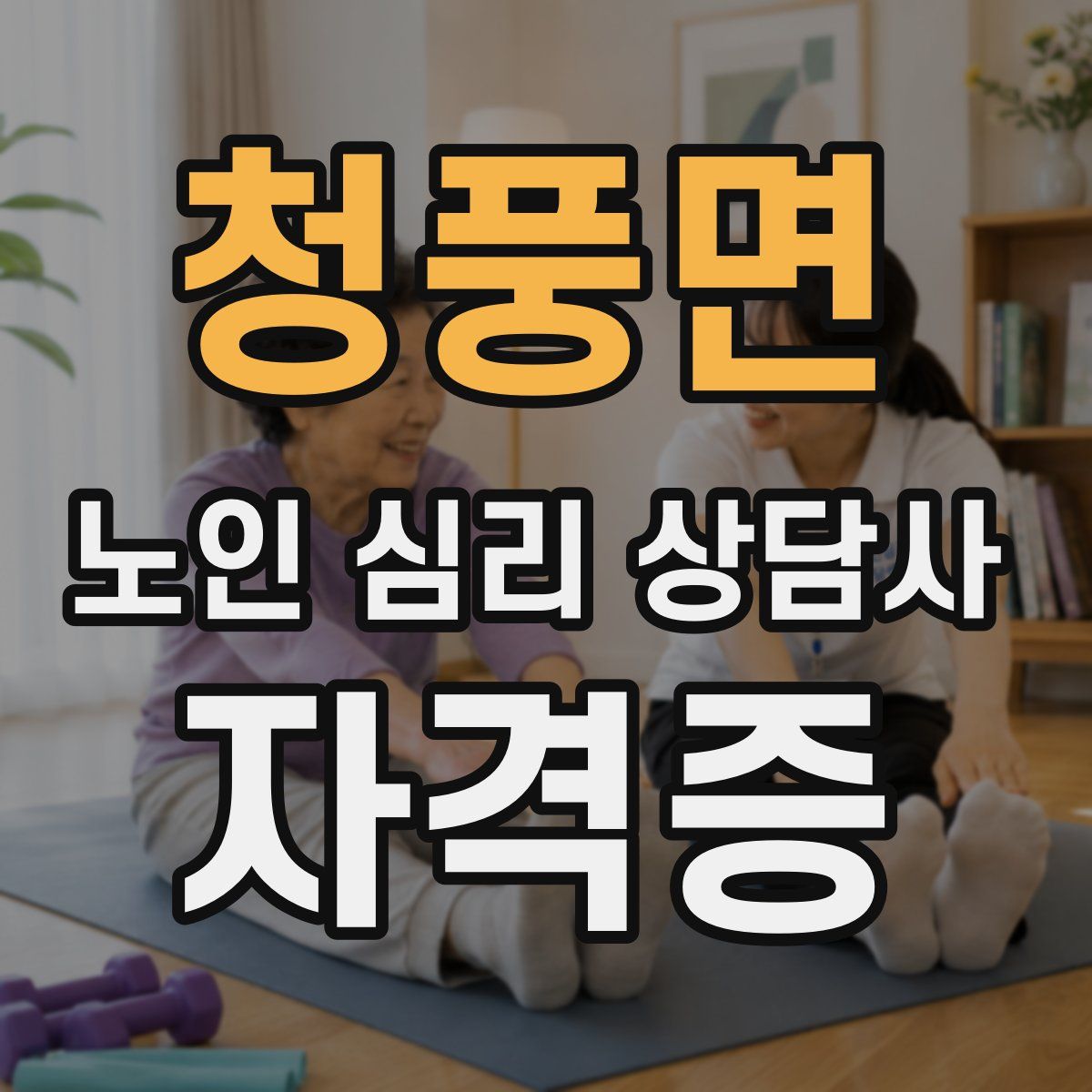 청풍면 노인 심리 상담사 자격증