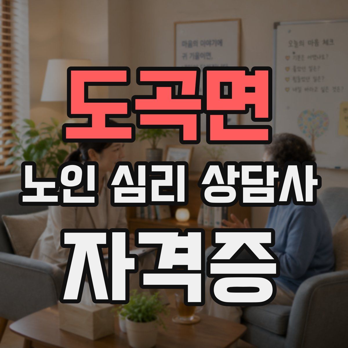 도곡면 노인 심리 상담사 자격증