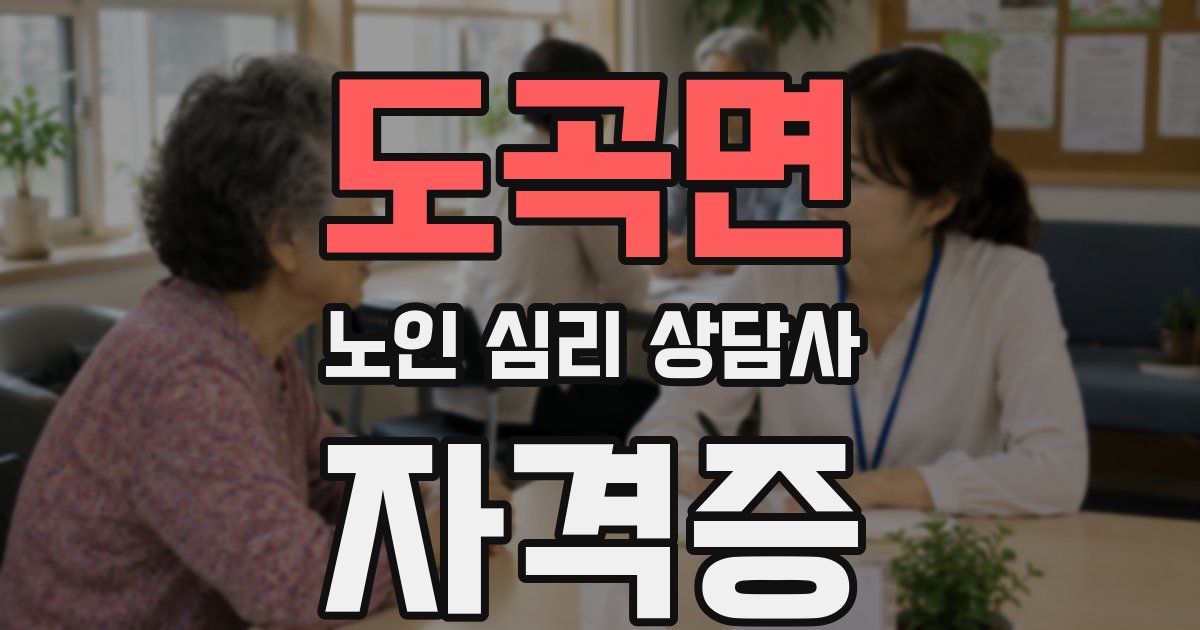 도곡면 노인 심리 상담사 자격증