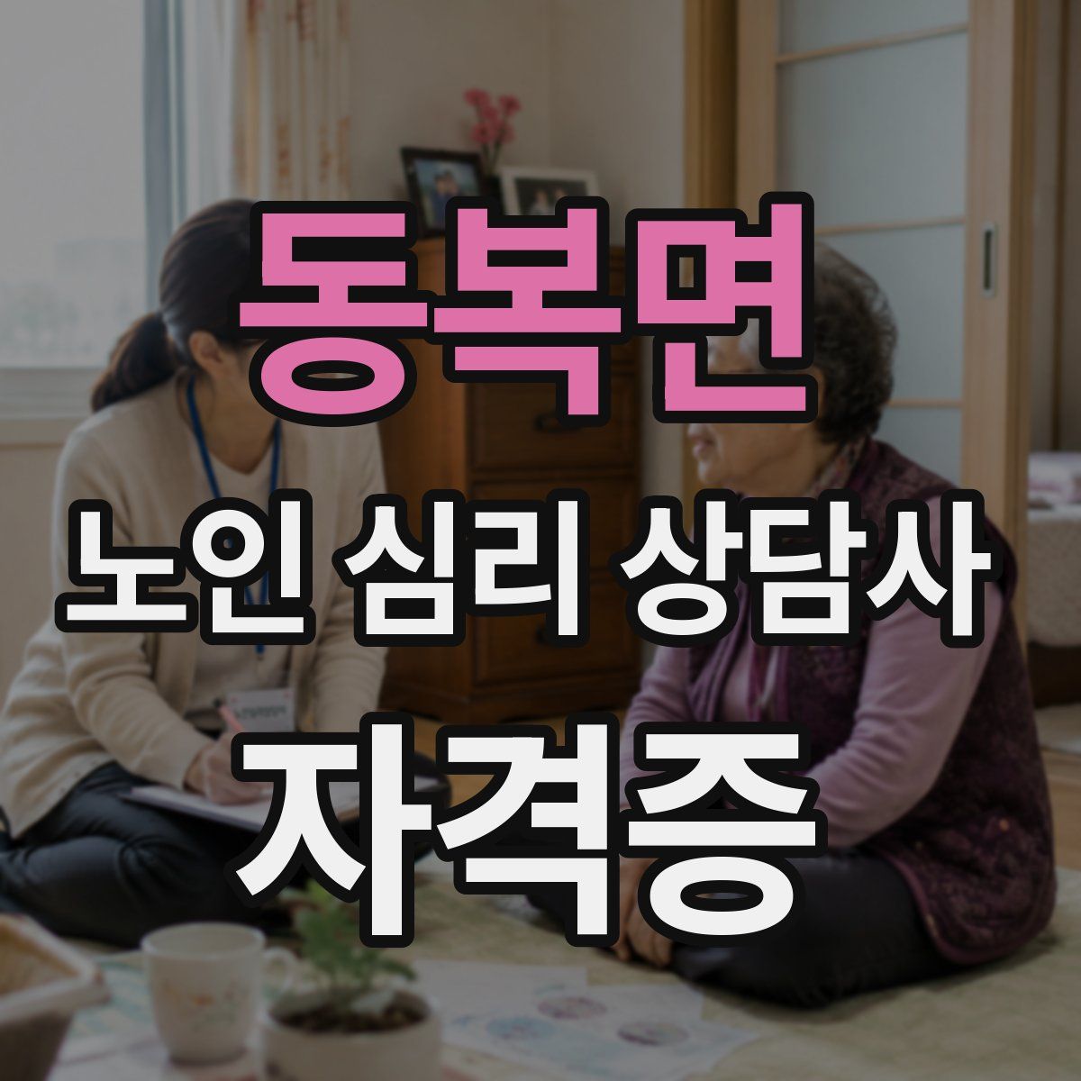 동복면 노인 심리 상담사 자격증