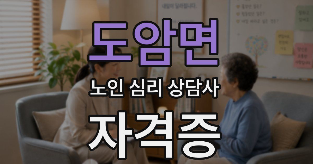도암면 노인 심리 상담사 자격증