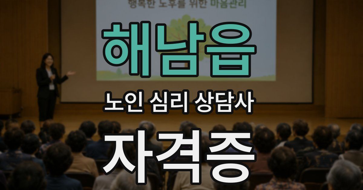 해남읍 노인 심리 상담사 자격증