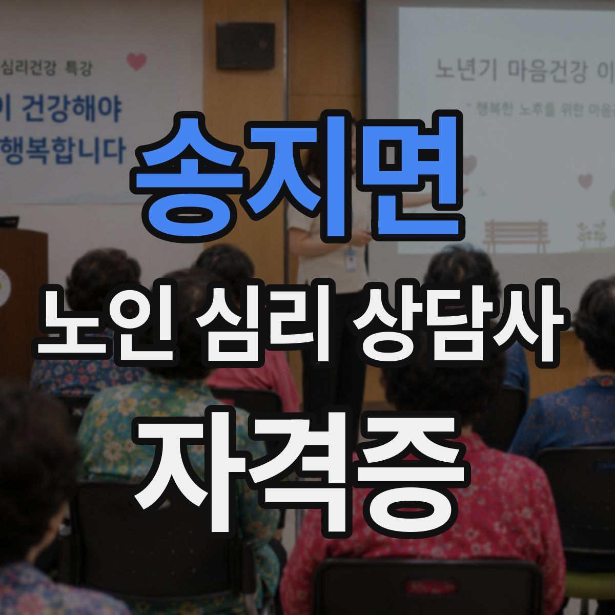 송지면 노인 심리 상담사 자격증