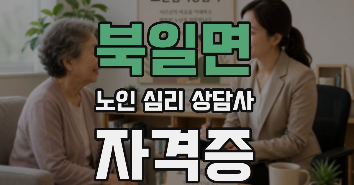 북일면 노인 심리 상담사 자격증