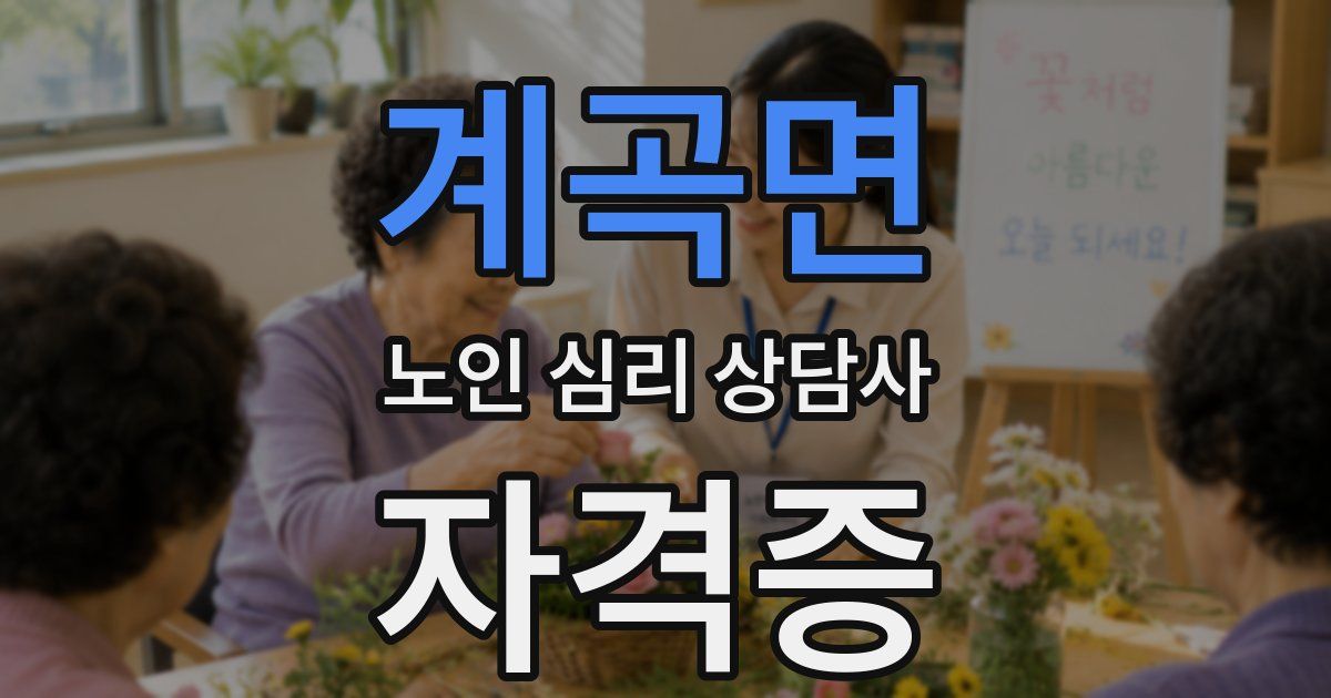 계곡면 노인 심리 상담사 자격증