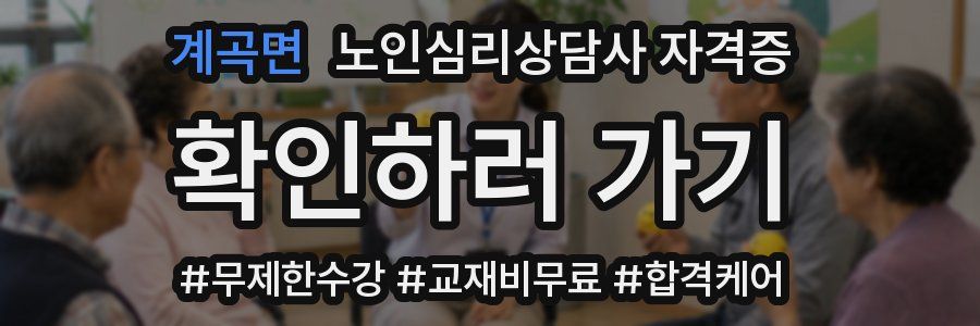 계곡면 노인 심리 상담사 자격증