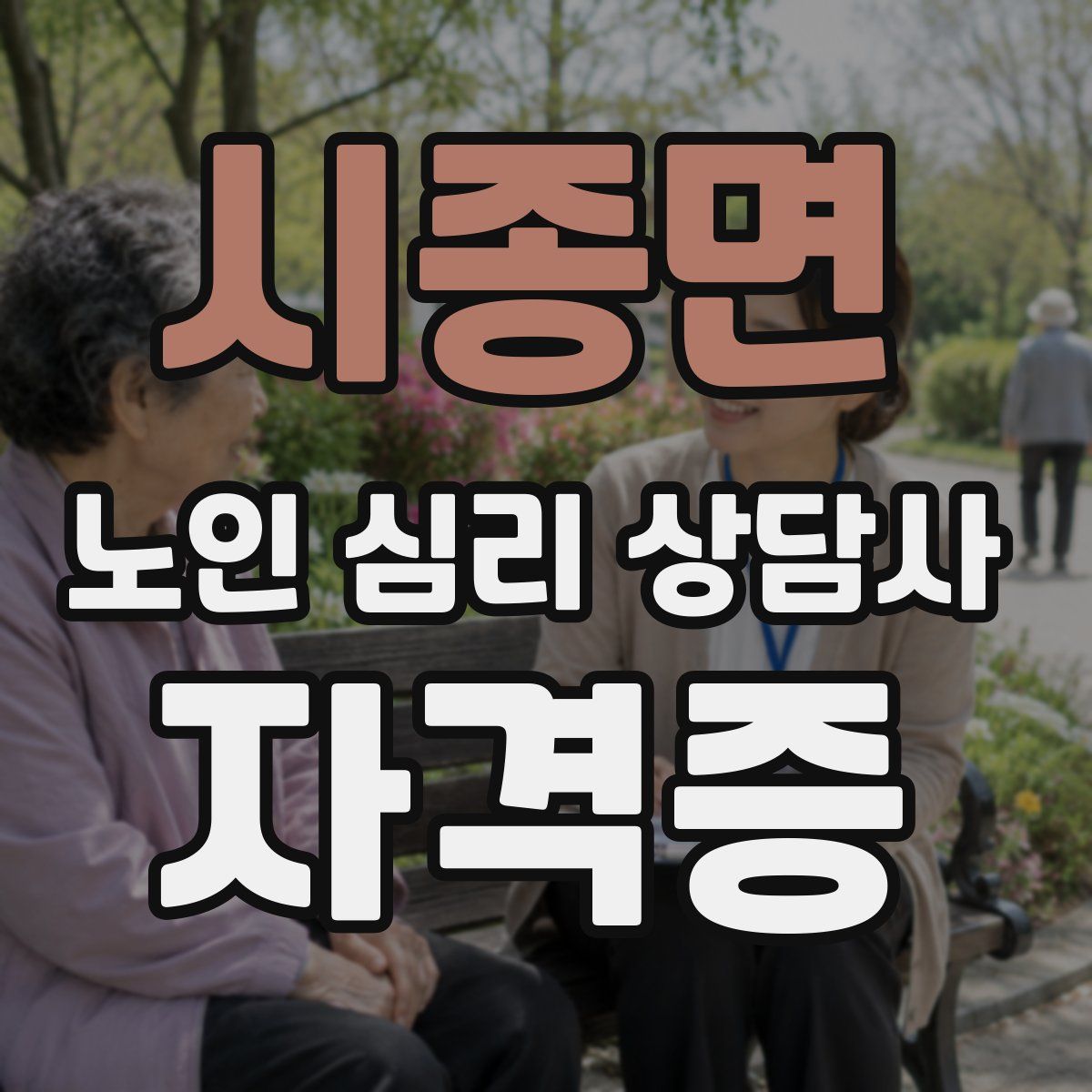 시종면 노인 심리 상담사 자격증