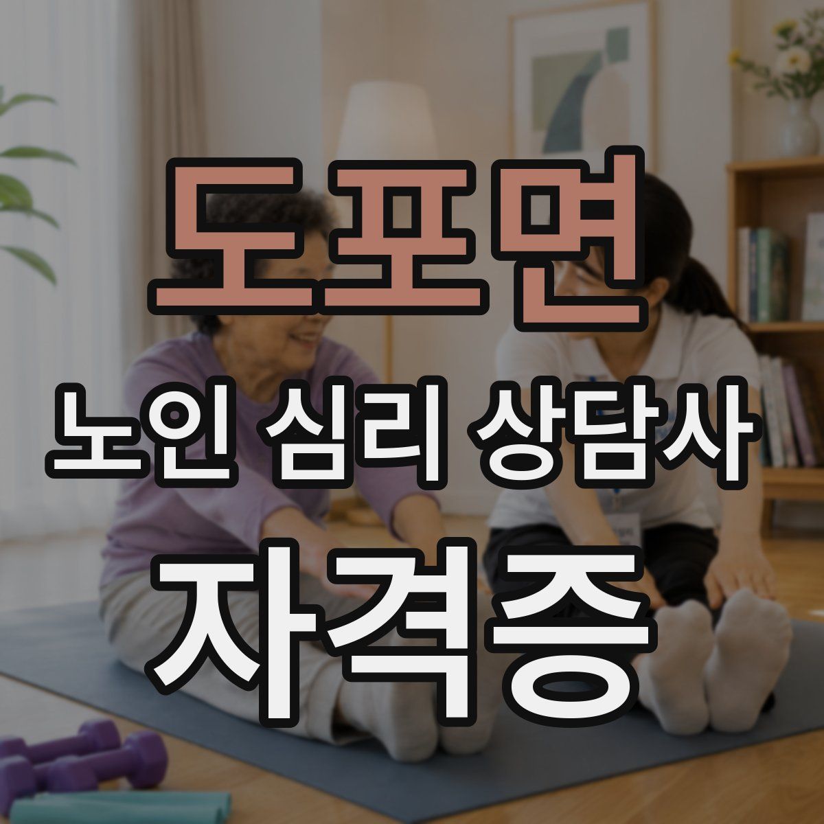 도포면 노인 심리 상담사 자격증
