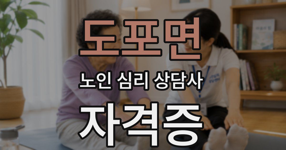 도포면 노인 심리 상담사 자격증