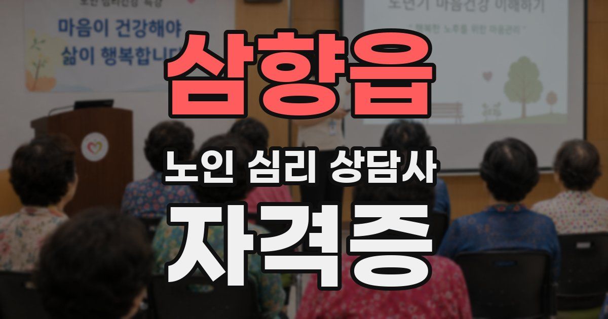 삼향읍 노인 심리 상담사 자격증