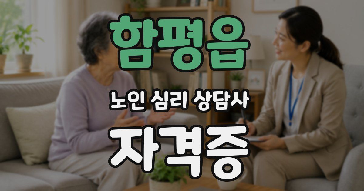 함평읍 노인 심리 상담사 자격증