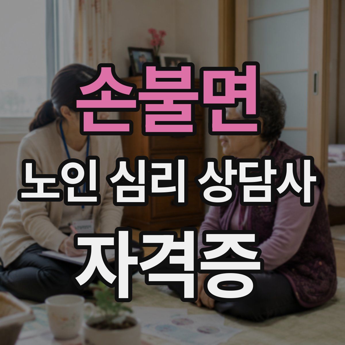 손불면 노인 심리 상담사 자격증