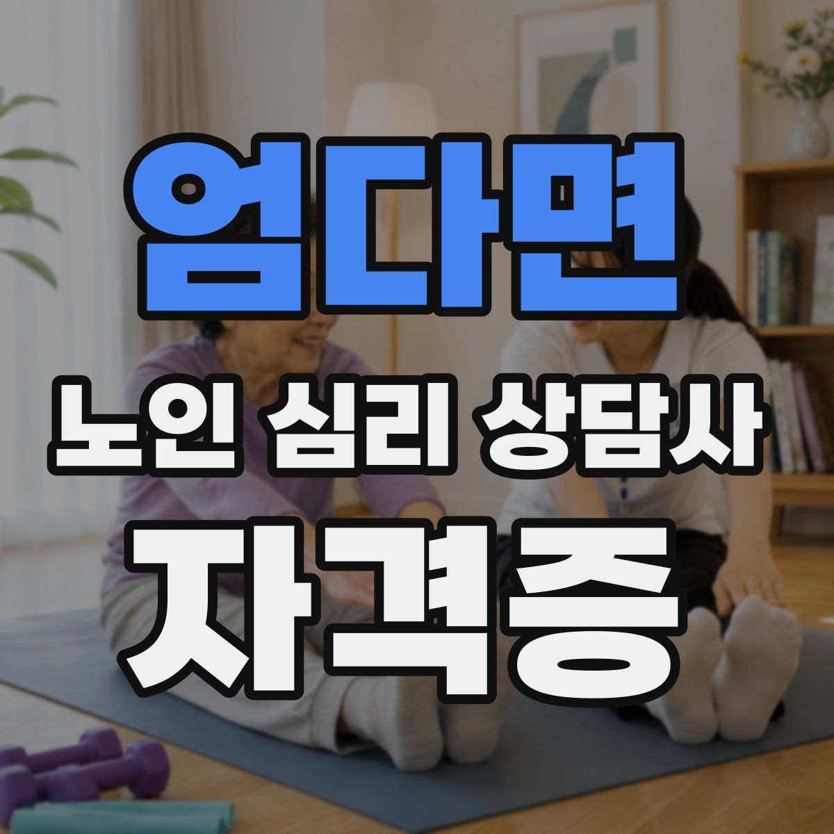 엄다면 노인 심리 상담사 자격증