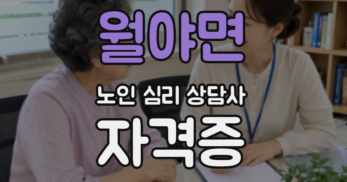월야면 노인 심리 상담사 자격증