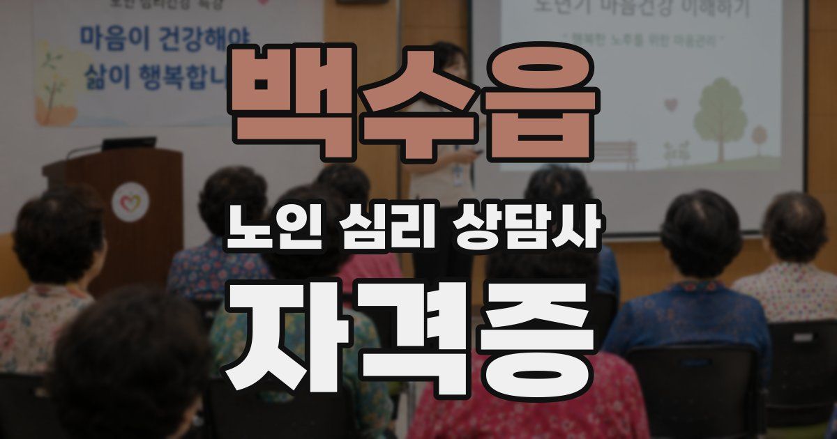 백수읍 노인 심리 상담사 자격증