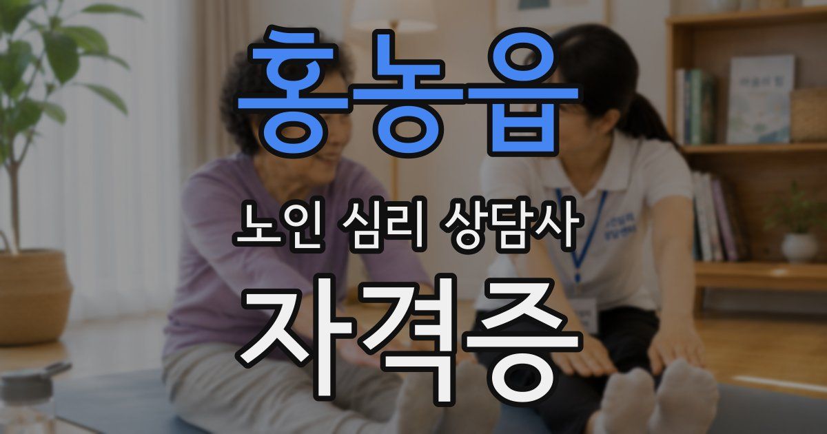 홍농읍 노인 심리 상담사 자격증