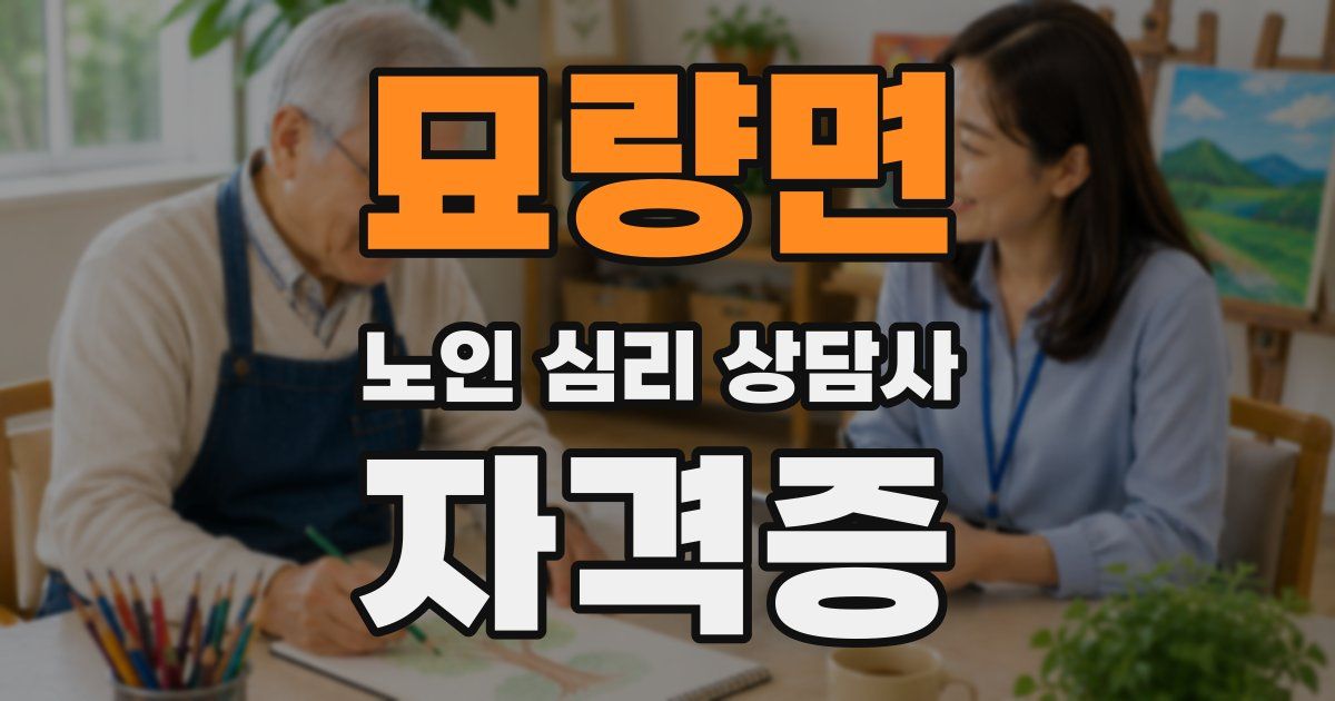 묘량면 노인 심리 상담사 자격증