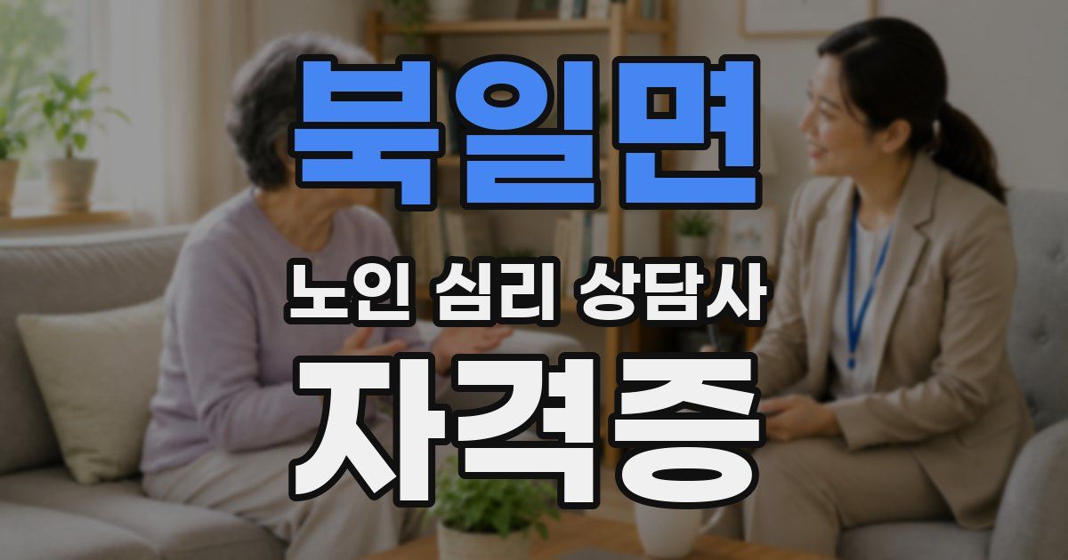 북일면 노인 심리 상담사 자격증