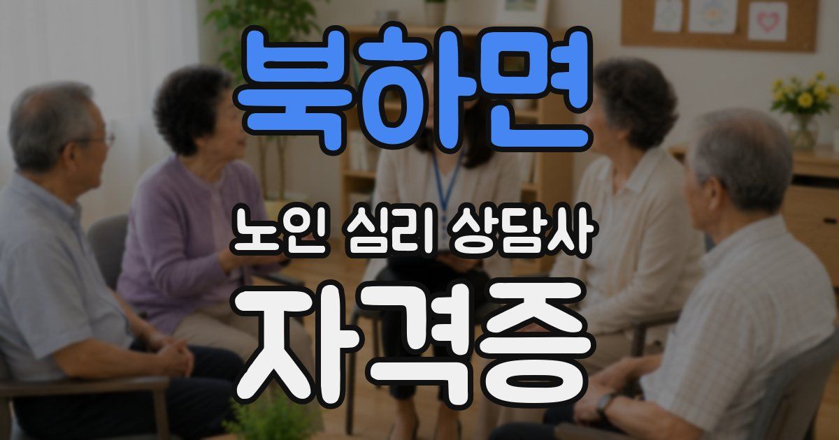 북하면 노인 심리 상담사 자격증