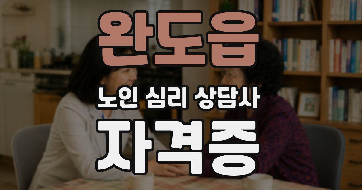 완도읍 노인 심리 상담사 자격증