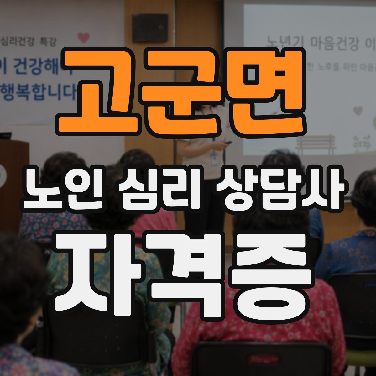 고군면 노인 심리 상담사 자격증