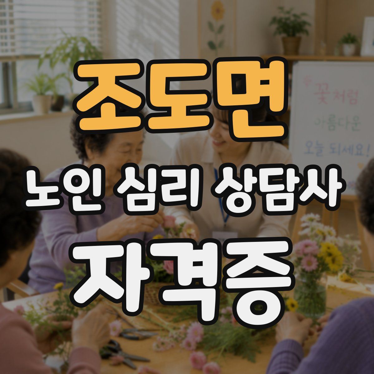 조도면 노인 심리 상담사 자격증