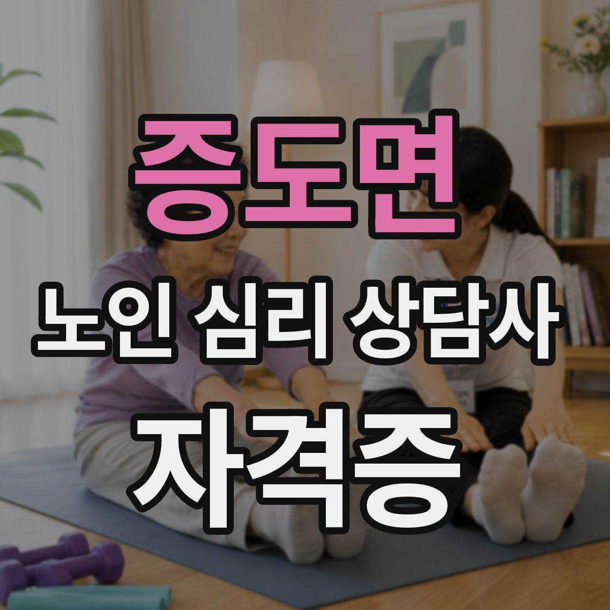 증도면 노인 심리 상담사 자격증