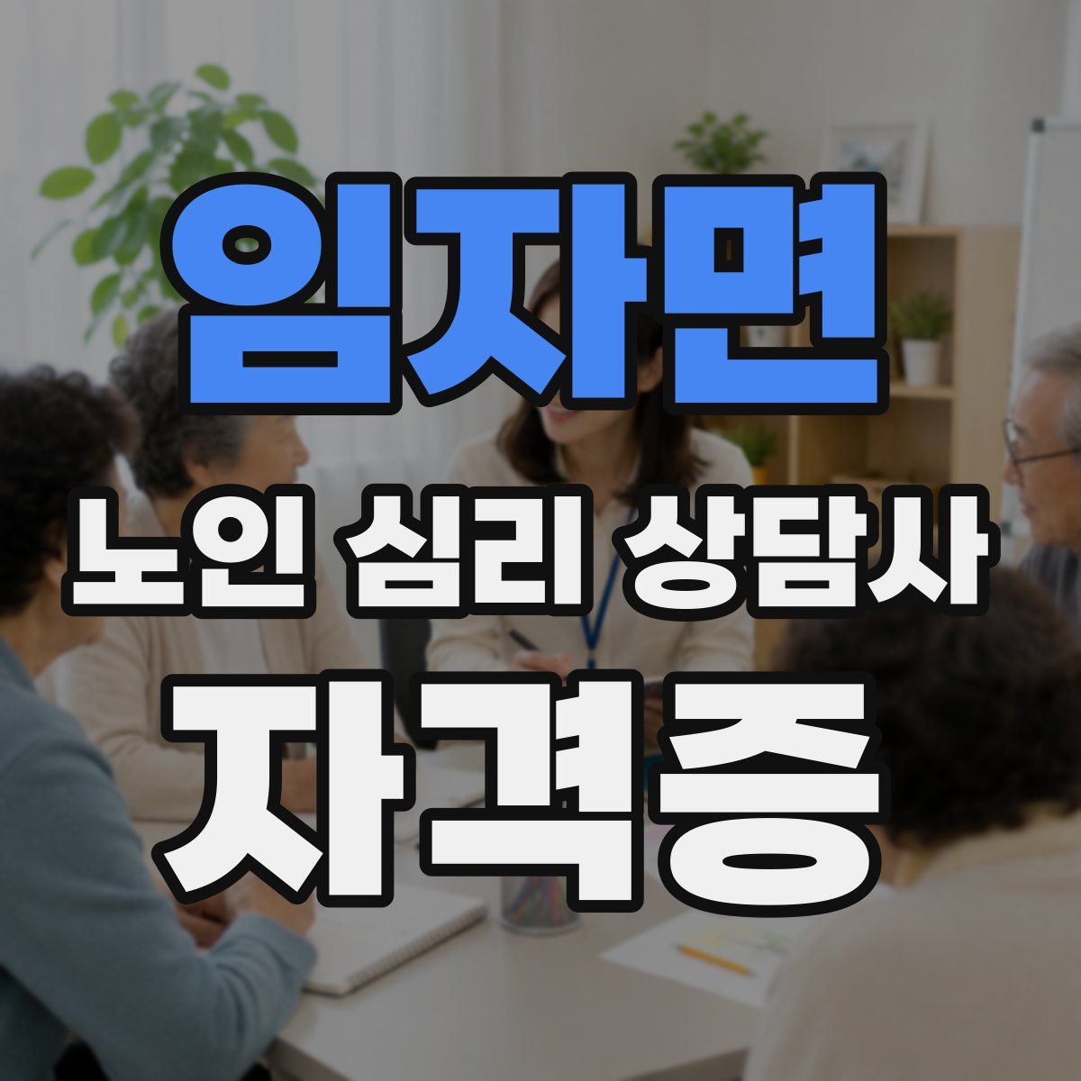 임자면 노인 심리 상담사 자격증