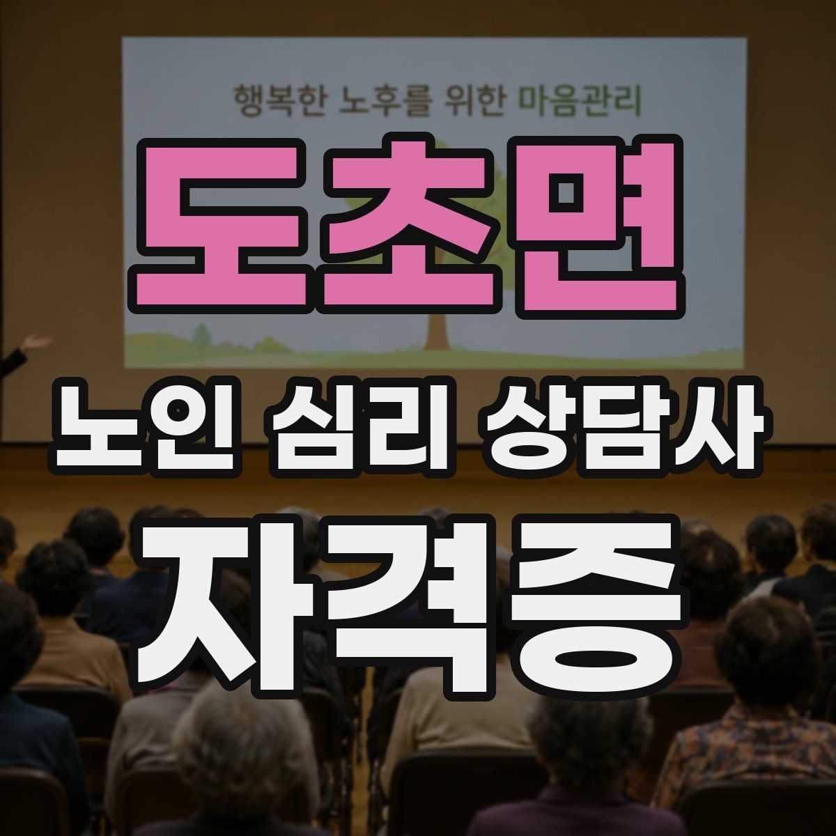 도초면 노인 심리 상담사 자격증