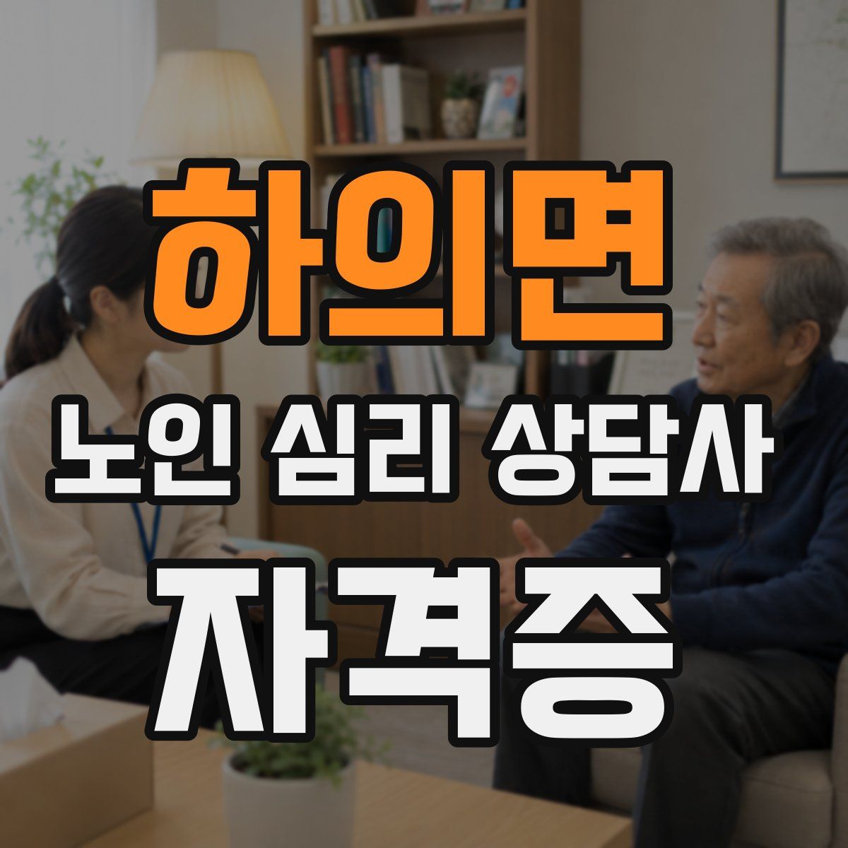 하의면 노인 심리 상담사 자격증