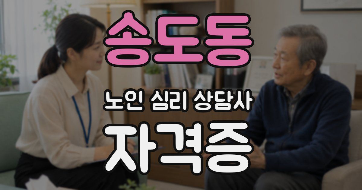 송도동 노인 심리 상담사 자격증