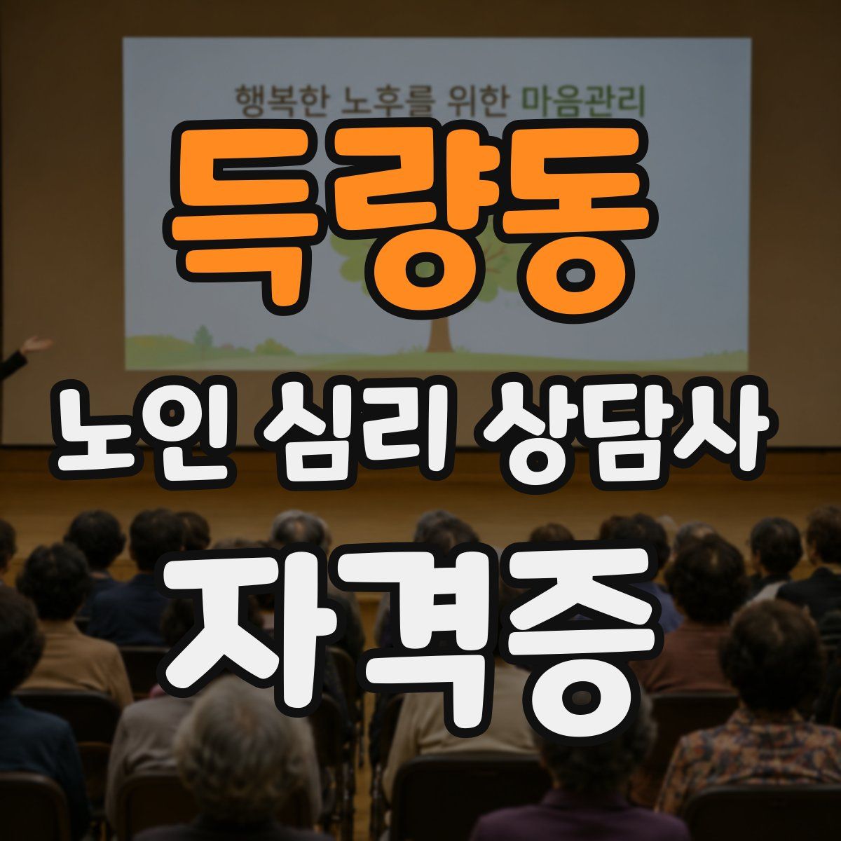득량동 노인 심리 상담사 자격증