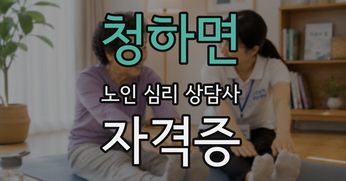 청하면 노인 심리 상담사 자격증