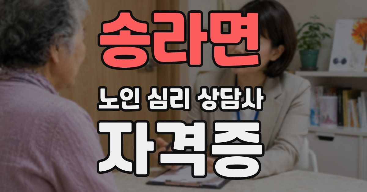 송라면 노인 심리 상담사 자격증