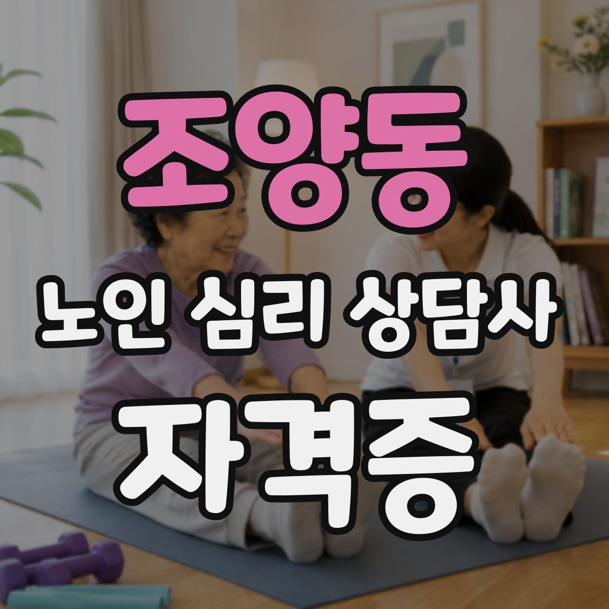 조양동 노인 심리 상담사 자격증