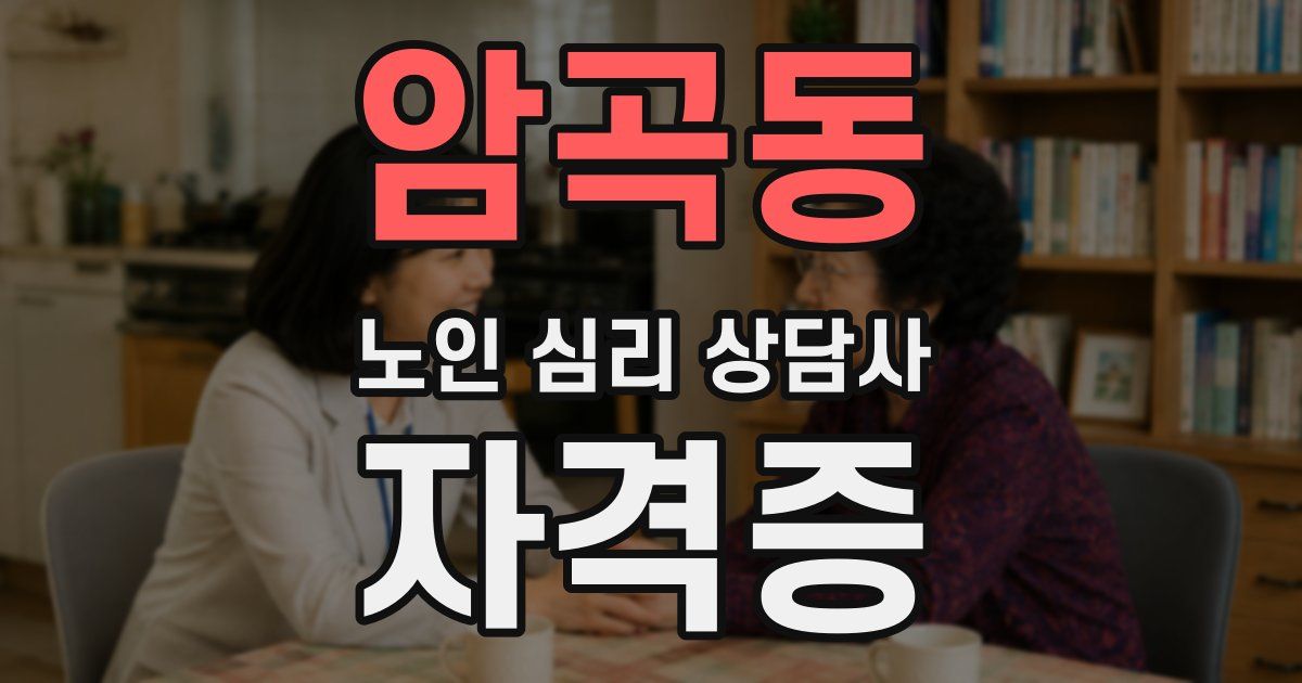 암곡동 노인 심리 상담사 자격증