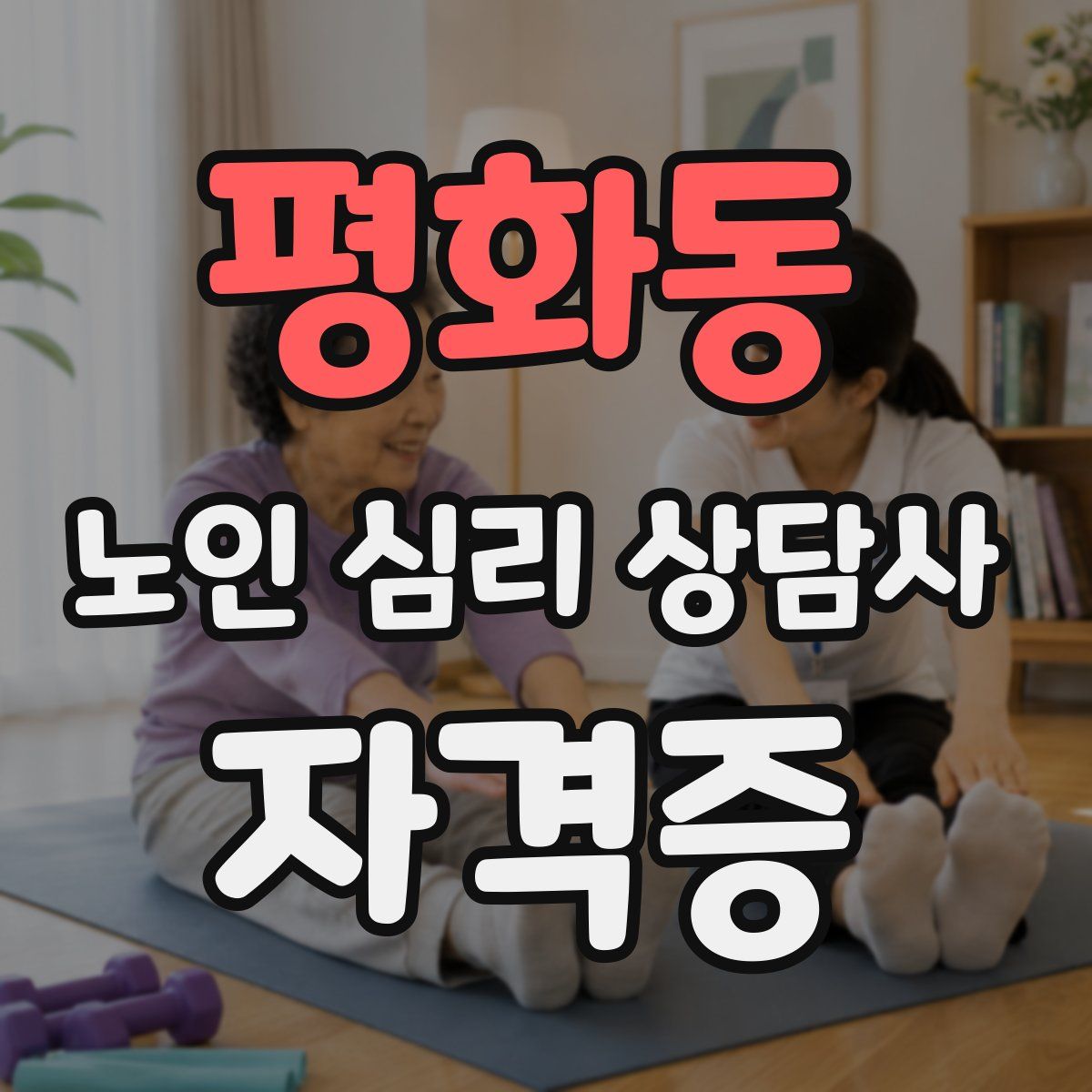 평화동 노인 심리 상담사 자격증