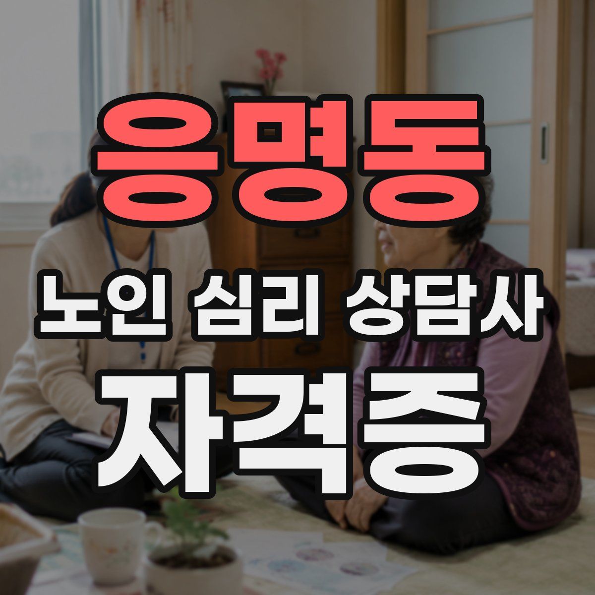 응명동 노인 심리 상담사 자격증