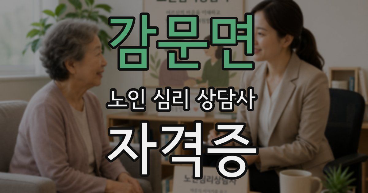 감문면 노인 심리 상담사 자격증