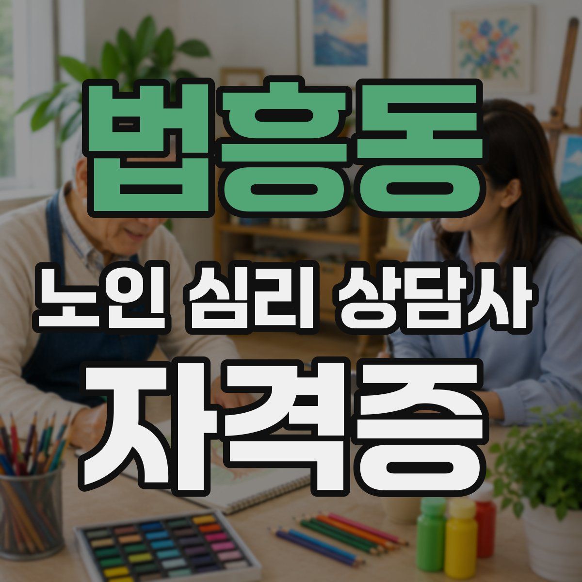 법흥동 노인 심리 상담사 자격증