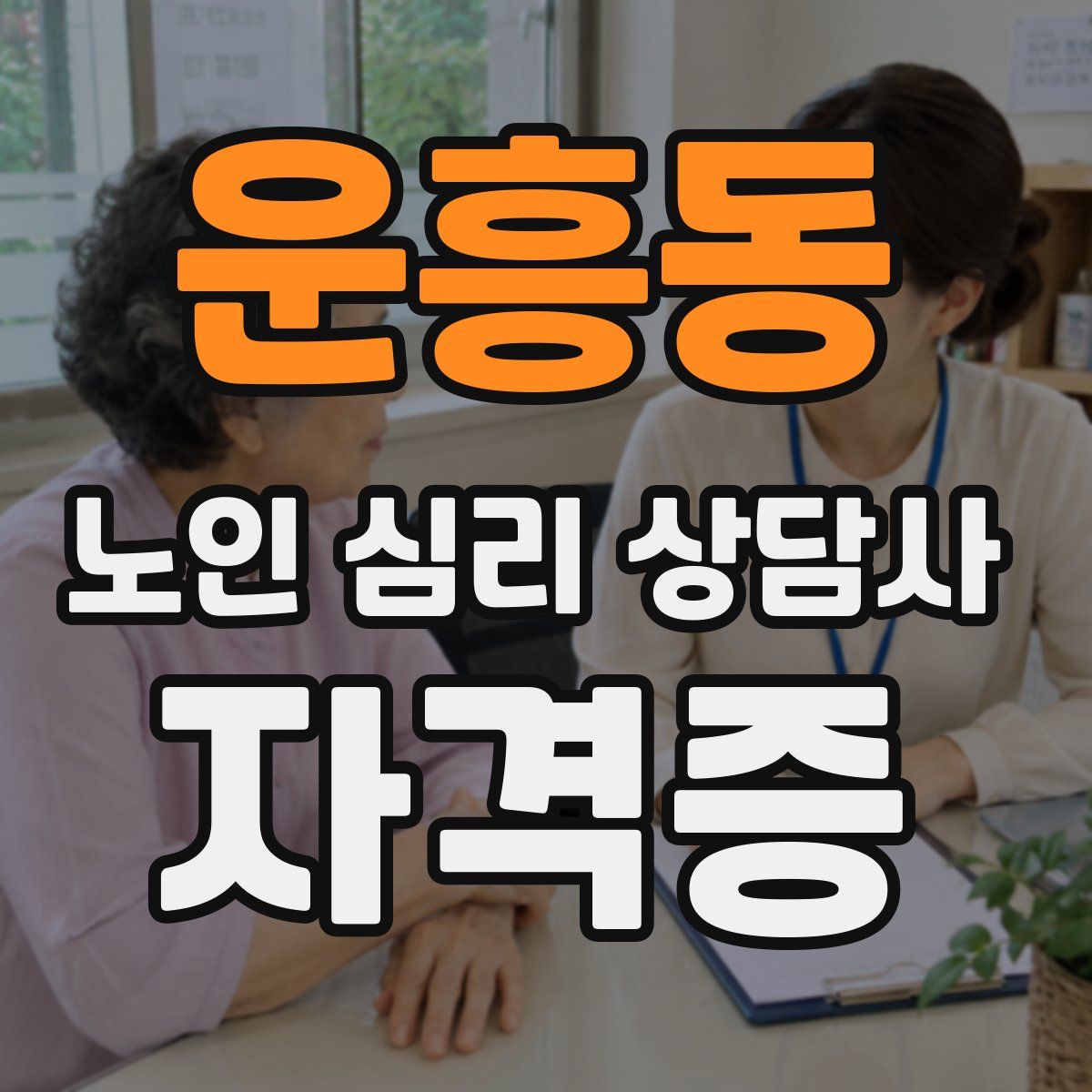 운흥동 노인 심리 상담사 자격증