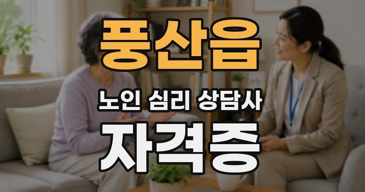 풍산읍 노인 심리 상담사 자격증