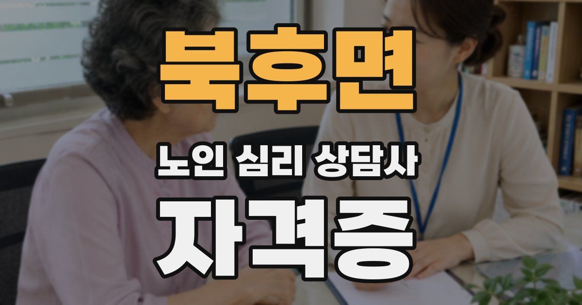 북후면 노인 심리 상담사 자격증