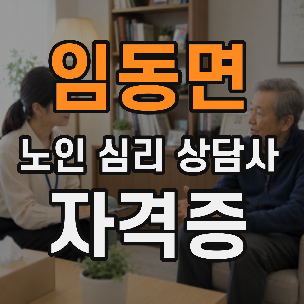 임동면 노인 심리 상담사 자격증
