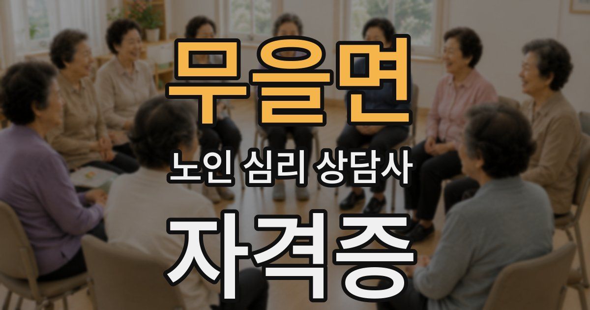 무을면 노인 심리 상담사 자격증