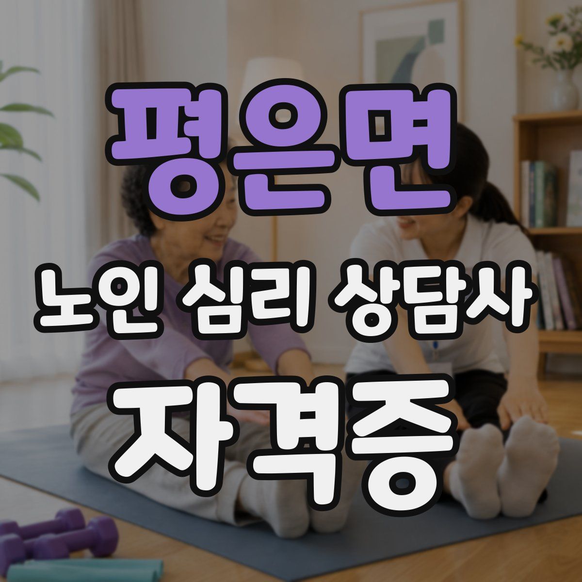 평은면 노인 심리 상담사 자격증